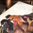 画像4: Vintage LP Sesame Street Born To Add (T151) (4)