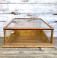 画像8: 1900s Antique Hohner Harmonica Counter Store Display Case (T203）