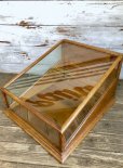 画像2: 1900s Antique Hohner Harmonica Counter Store Display Case (T203） (2)