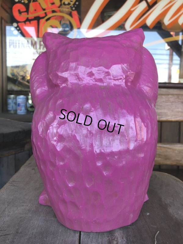 画像3: Vintage BDS Plastic Bank Psychedelic Hippie Owl Pink (T330) 