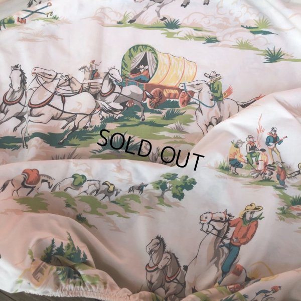 画像7: Vintage Fabric Western Queen Size (T368) 　