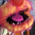 画像6: 70s Vintage FP Muppets Animal Puppet doll (T411)