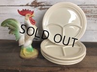 Vintage USA Iroquois China Ceramic Restaurant Ware 25cm (T404)