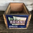 画像1: Vintage Wooden Fruits Crate Box BRIANT (T546) (1)