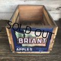 Vintage Wooden Fruits Crate Box BRIANT (T546)