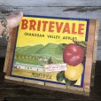 画像6: Vintage Wooden Fruits Crate Box BRITEVALE (T555)