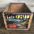 Vintage Wooden Fruits Crate Box Lake CHELAN (T554)