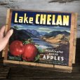 画像6: Vintage Wooden Fruits Crate Box Lake CHELAN (T554)