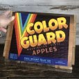 画像6: Vintage Wooden Fruits Crate Box COLOR GUARD (T547)