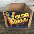 Vintage Wooden Fruits Crate Box COLOR GUARD (T547)