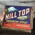 画像7: Vintage Wooden Fruits Crate Box HILL TOP (T545)