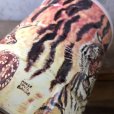 画像5: Vintage Safari Coffee Animal Tin Can Tiger (T654)