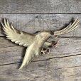 画像6: Vintage Metal Eagle Wall Decor (T727)