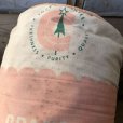 画像8: 70s Vintage ORANGE Crush  Advertising Pillow (T790)