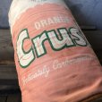 画像10: 70s Vintage ORANGE Crush  Advertising Pillow (T790)