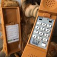 画像8: 80s Vintage THE ALF PHONE (T794) 