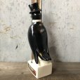 画像3: Vintage Old Crow Whiskey Decanter Bottle (T799)