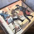 画像4: Vintage Lunch Box Zorro (T847)