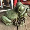 画像8: 60s Vintage Thinking Frog Plastic Bank (T983)