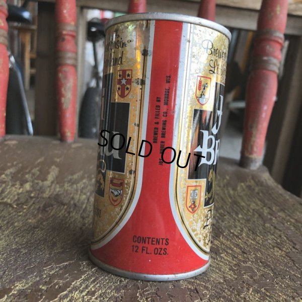 画像2: Vintage Beer Can Hi BRau (T956)