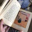 画像5: 60s Vintage Book Ivan Tors' DAKTARI NIGHT OF TERROR (B014) 