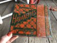 画像11: Vintage U.S.A  Advertising Tin Can HAVANETTES (B132)