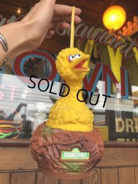 70s Vintage Sesame Street Big Bird Radio (B393)