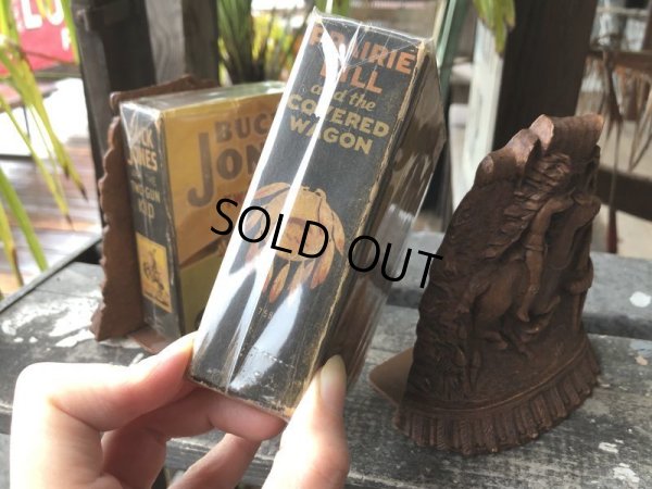 画像5: Vintage Western Indian Bookends (B547)