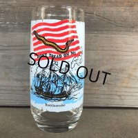 70s Vintage Coca Cola Heritage Glass Rattlesnake (G034) 　