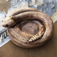 画像4: 70s Vintage Disneyland Adveture Land RANDOTTI Rattle Snake Ceramic Ashtray (B697)