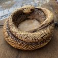 画像5: 70s Vintage Disneyland Adveture Land RANDOTTI Rattle Snake Ceramic Ashtray (B696)