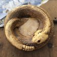 画像2: 70s Vintage Disneyland Adveture Land RANDOTTI Rattle Snake Ceramic Ashtray (B696) (2)