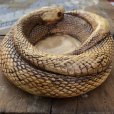 画像8: 70s Vintage Disneyland Adveture Land RANDOTTI Rattle Snake Ceramic Ashtray (B696)