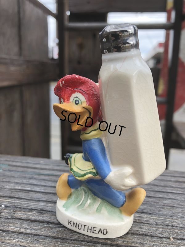 画像7: 50s Vintage NAPCO Walter Lantz  Woody Woodpecker Salt & Pepper Shakers (B748)