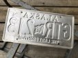 画像2: Vintage American License Number Plate GTR 213 (B795)  (2)