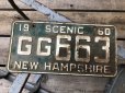 画像1: 60s Vintage American License Number Plate GG 663 (B798)  (1)