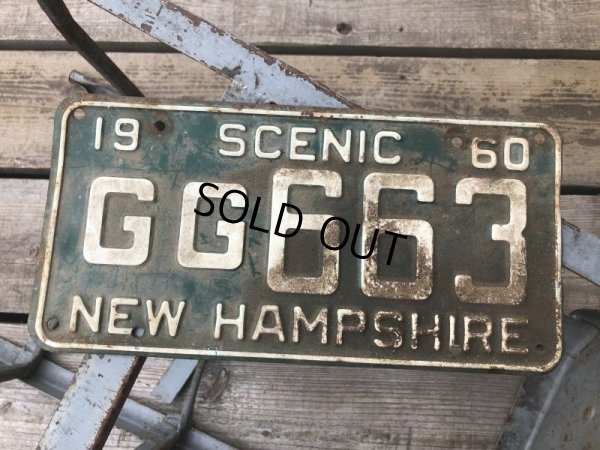 画像1: 60s Vintage American License Number Plate GG 663 (B798) 