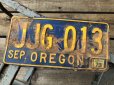 画像1: Vintage American License Number Plate JJG 013 (B777)  (1)