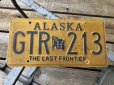 画像1: Vintage American License Number Plate GTR 213 (B795)  (1)