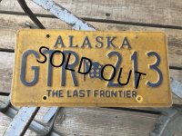 Vintage American License Number Plate GTR 213 (B795) 
