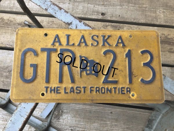 画像1: Vintage American License Number Plate GTR 213 (B795) 
