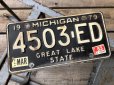 画像1: Vintage American License Number Plate 4503 ED (B781)  (1)