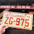 画像1: 70s Vintage Motorcycle & Trailer License Plate ZG-975 (B876)  (1)