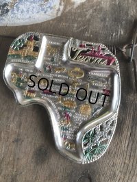 Vintage Souvenir Ashtray Texas (B886)