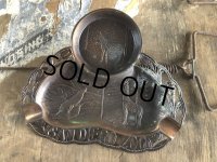 Vintage Souvenir Ashtray San Diego Zoo (B871)