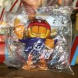 画像1: 90s Vintage Garfield DQ Kid's Pick-nic!  (B074) (1)