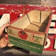 画像3: Vintage Grocery Store Tomato Handy Basket (B125)