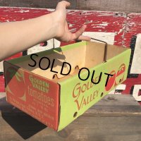 Vintage Grocery Store Tomato Handy Basket (B126)