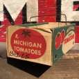 画像3: Vintage Grocery Store Tomato Handy Basket (B129)