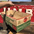 Vintage Grocery Store Tomato Handy Basket (B125)